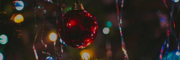 We would like to wish all of our members<br />a <strong>Happy Christmas</strong>